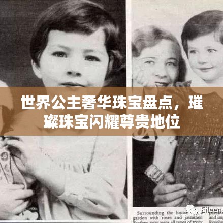 世界公主奢华珠宝盘点，璀璨珠宝闪耀尊贵地位