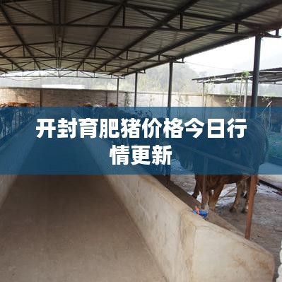 开封育肥猪价格今日行情更新