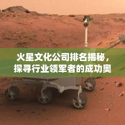 火星文化公司排名揭秘，探寻行业领军者的成功奥秘