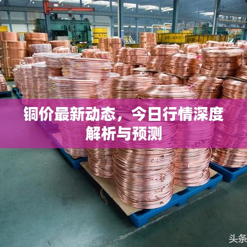 铜价最新动态，今日行情深度解析与预测