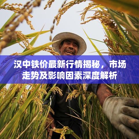 汉中铁价最新行情揭秘，市场走势及影响因素深度解析