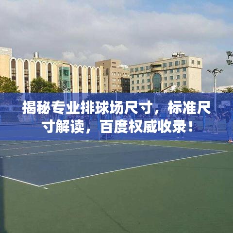 揭秘专业排球场尺寸，标准尺寸解读，百度权威收录！