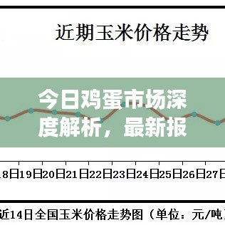 今日鸡蛋市场深度解析，最新报价、走势分析及未来预测