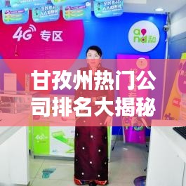 甘孜州热门公司排名大揭秘！