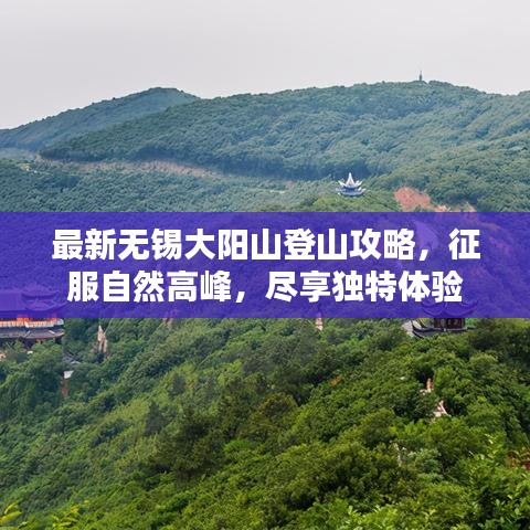 最新无锡大阳山登山攻略，征服自然高峰，尽享独特体验