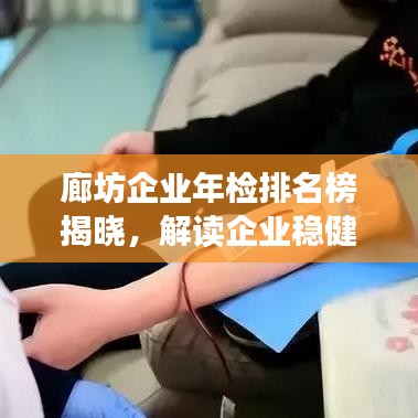廊坊企业年检排名榜揭晓，解读企业稳健发展之力