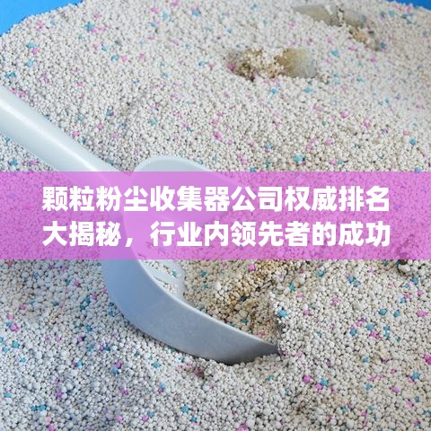 颗粒粉尘收集器公司权威排名大揭秘，行业内领先者的成功秘诀