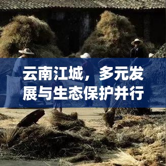 云南江城，多元发展与生态保护并行的探索之路