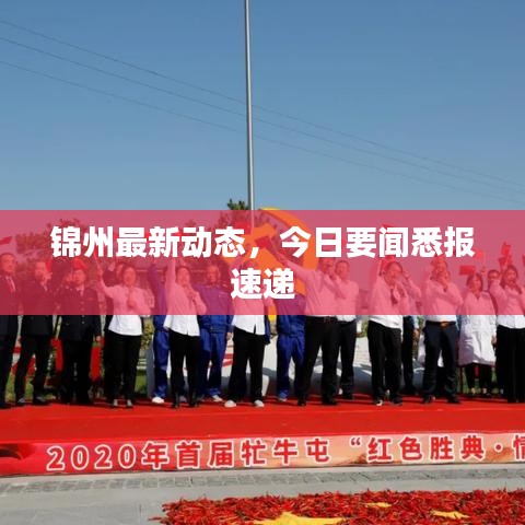 锦州最新动态，今日要闻悉报速递