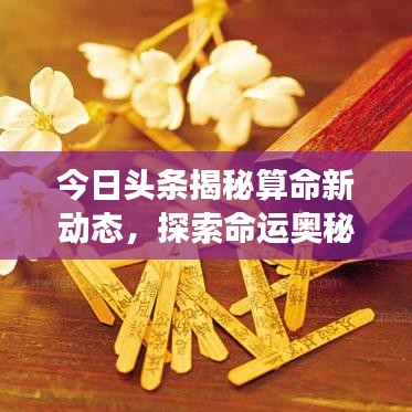 今日头条揭秘算命新动态，探索命运奥秘的新视角