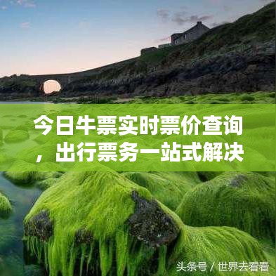 今日牛票实时票价查询，出行票务一站式解决方案