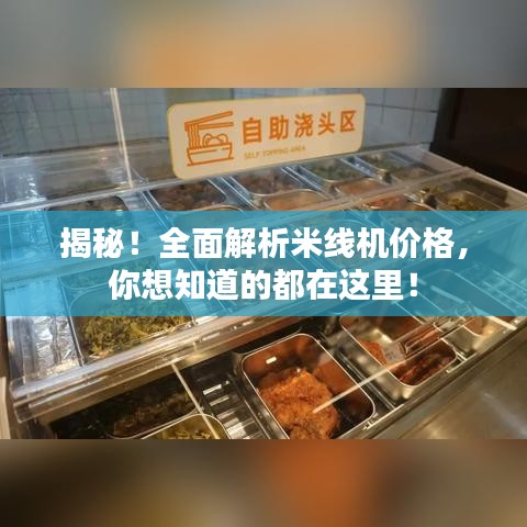 揭秘！全面解析米线机价格，你想知道的都在这里！