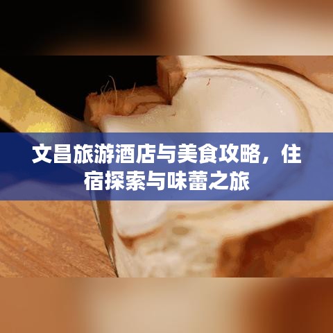 文昌旅游酒店与美食攻略，住宿探索与味蕾之旅