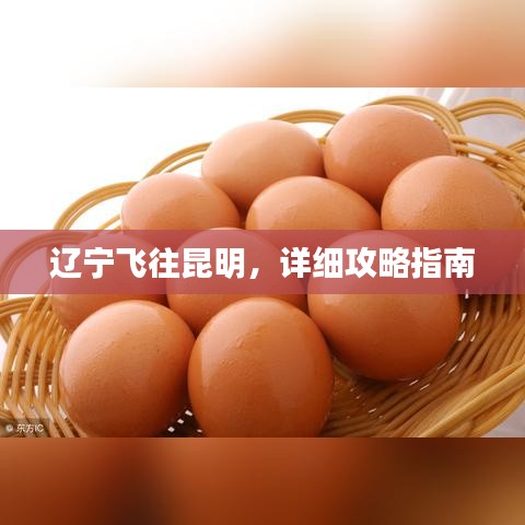 辽宁飞往昆明，详细攻略指南