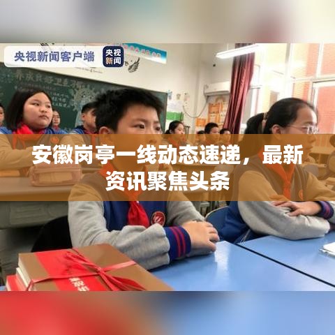 安徽岗亭一线动态速递，最新资讯聚焦头条