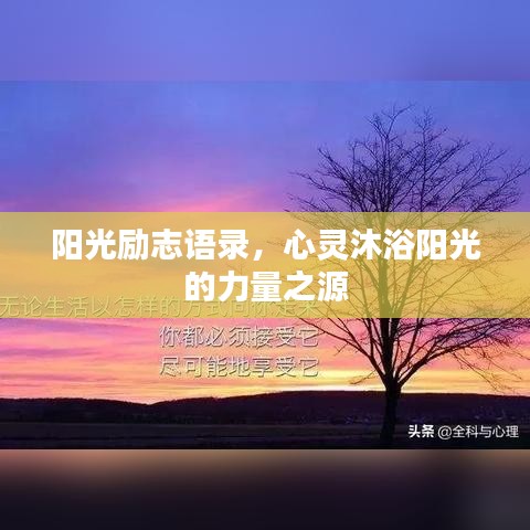 阳光励志语录，心灵沐浴阳光的力量之源