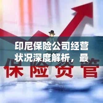 印尼保险公司经营状况深度解析，最新消息与破产传闻探讨