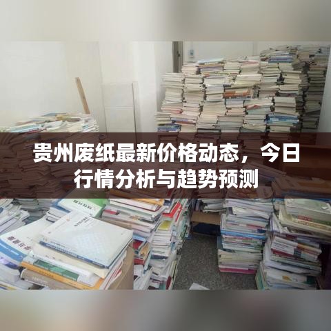 贵州废纸最新价格动态，今日行情分析与趋势预测