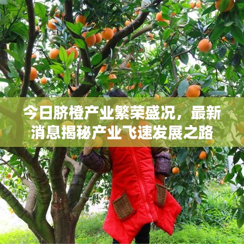 夫妻本是同林鸟 第2页