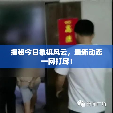 揭秘今日象棋风云，最新动态一网打尽！