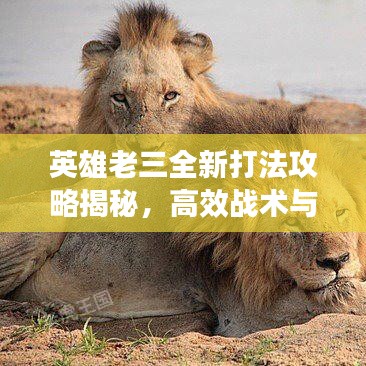 英雄老三全新打法攻略揭秘，高效战术与技巧大全