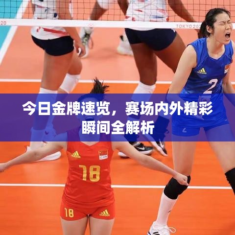 今日金牌速览，赛场内外精彩瞬间全解析