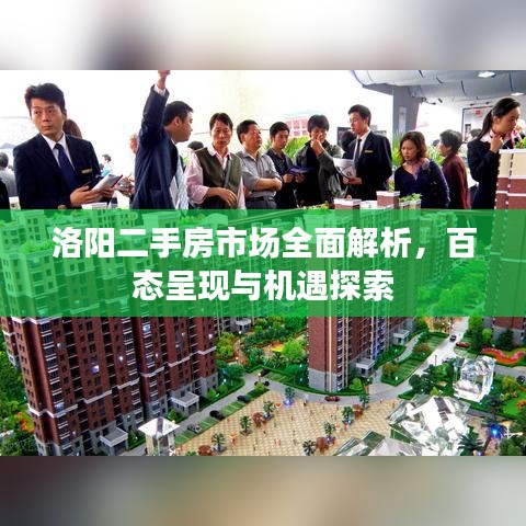洛阳二手房市场全面解析，百态呈现与机遇探索