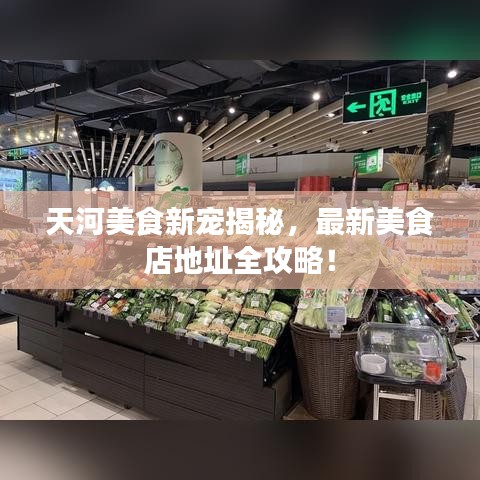 天河美食新宠揭秘，最新美食店地址全攻略！