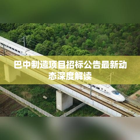 巴中制造项目招标公告最新动态深度解读