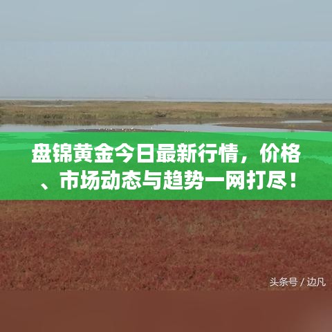 盘锦黄金今日最新行情，价格、市场动态与趋势一网打尽！