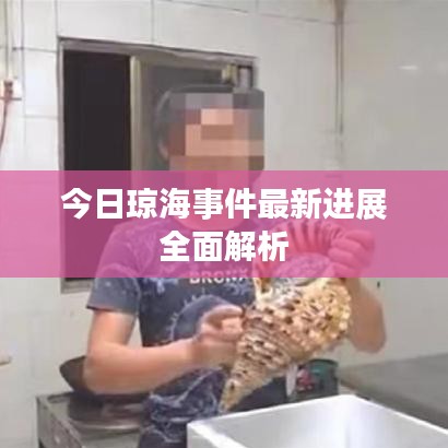 今日琼海事件最新进展全面解析