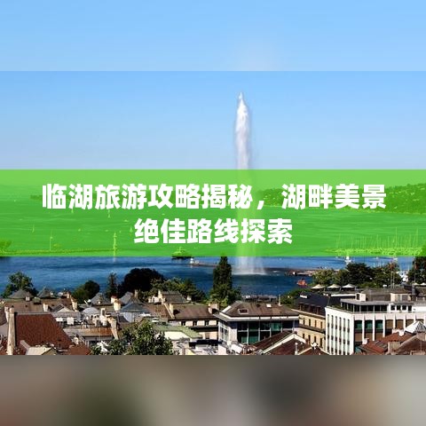 一花独放 第2页