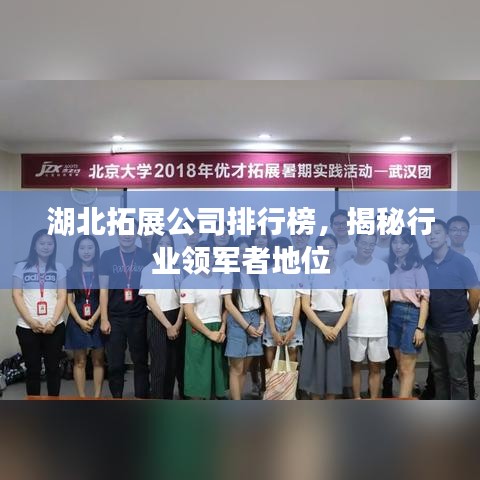 湖北拓展公司排行榜，揭秘行业领军者地位