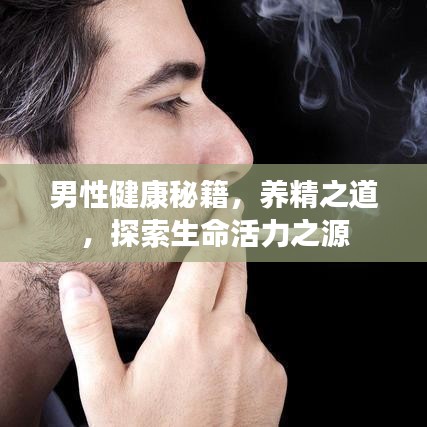 男性健康秘籍，养精之道，探索生命活力之源