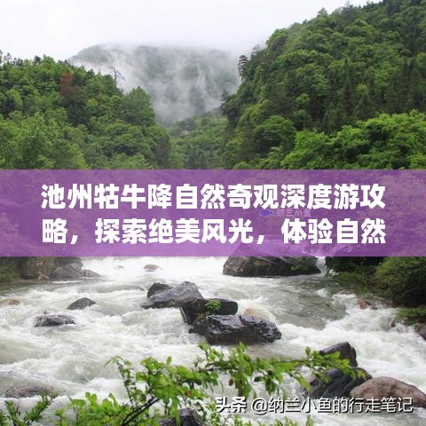 池州牯牛降自然奇观深度游攻略，探索绝美风光，体验自然魅力之旅