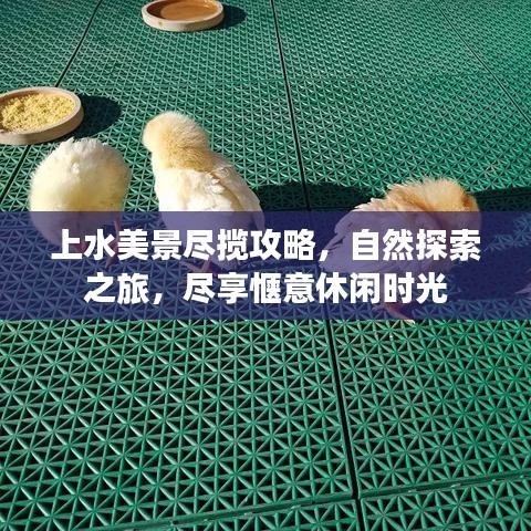 上水美景尽揽攻略，自然探索之旅，尽享惬意休闲时光