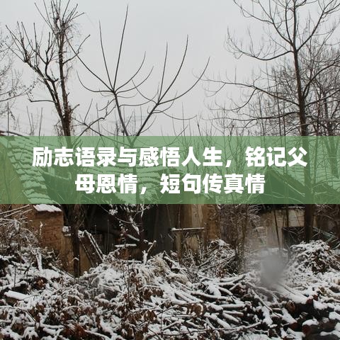 励志语录与感悟人生，铭记父母恩情，短句传真情
