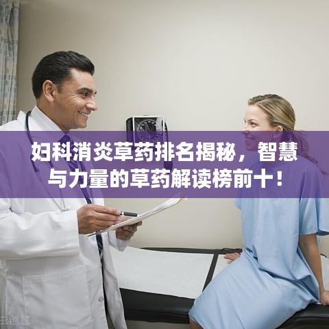 妇科消炎草药排名揭秘，智慧与力量的草药解读榜前十！