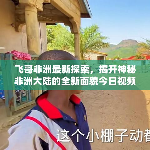 飞哥非洲最新探索，揭开神秘非洲大陆的全新面貌今日视频更新
