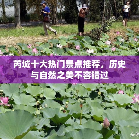 芮城十大热门景点推荐，历史与自然之美不容错过