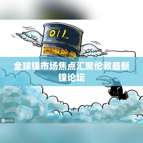 全球镍市场焦点汇聚伦敦最新镍论坛