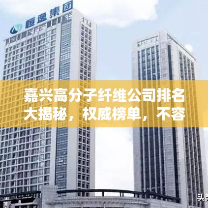 嘉兴高分子纤维公司排名大揭秘，权威榜单，不容错过！