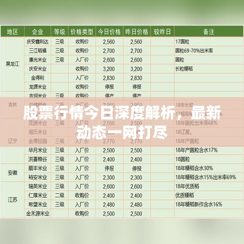 股票行情今日深度解析，最新动态一网打尽