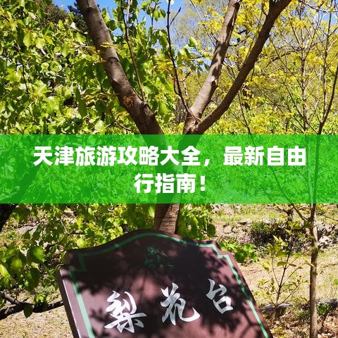 天津旅游攻略大全，最新自由行指南！