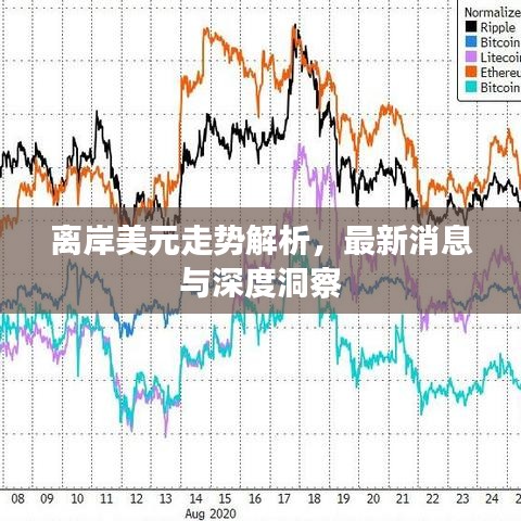离岸美元走势解析，最新消息与深度洞察