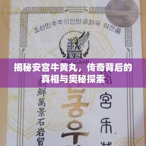 揭秘安宫牛黄丸，传奇背后的真相与奥秘探索