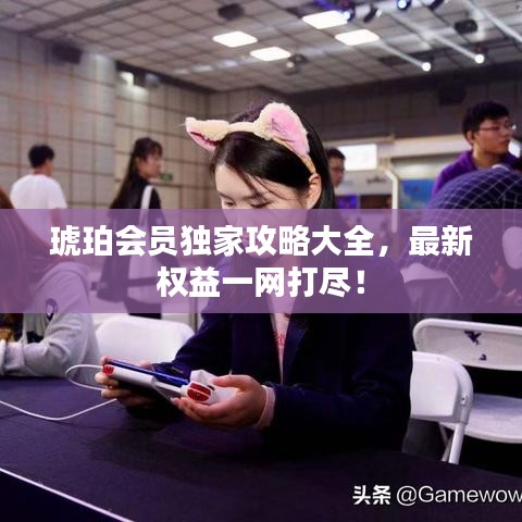 琥珀会员独家攻略大全，最新权益一网打尽！
