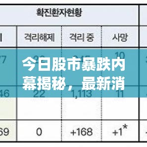 今日股市暴跌内幕揭秘，最新消息、深度分析与应对策略