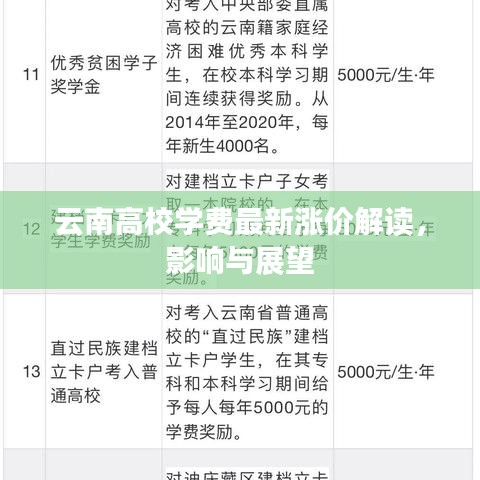 云南高校学费最新涨价解读，影响与展望