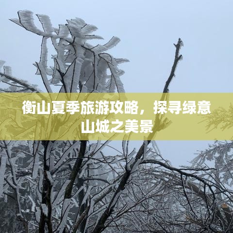 衡山夏季旅游攻略，探寻绿意山城之美景